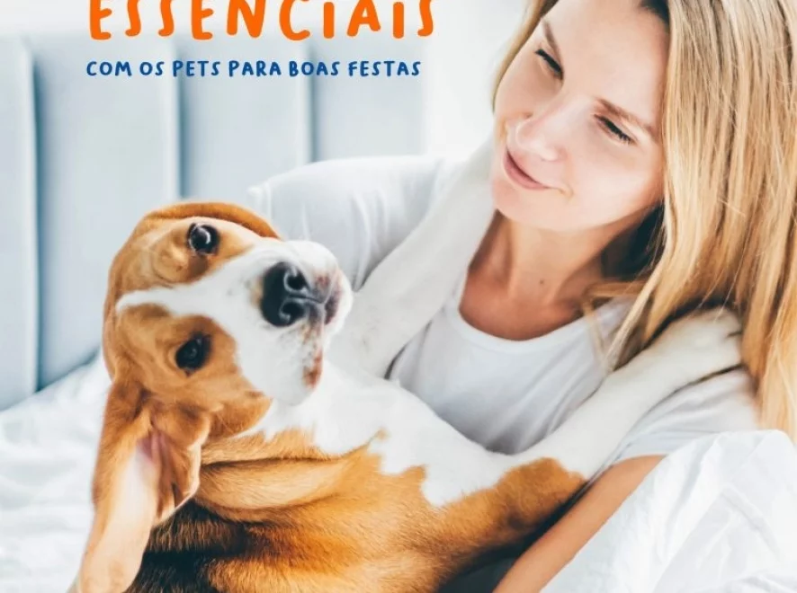 Final de ano: 5 cuidados essenciais com os pets para boas festas