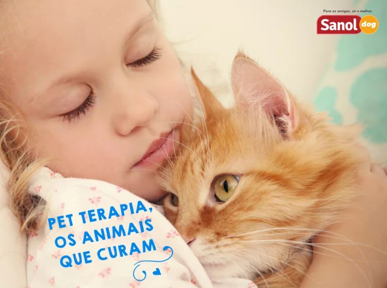 BENEFÍCIOS PARA SAÚDE: DORMIR COM SEU CÃO