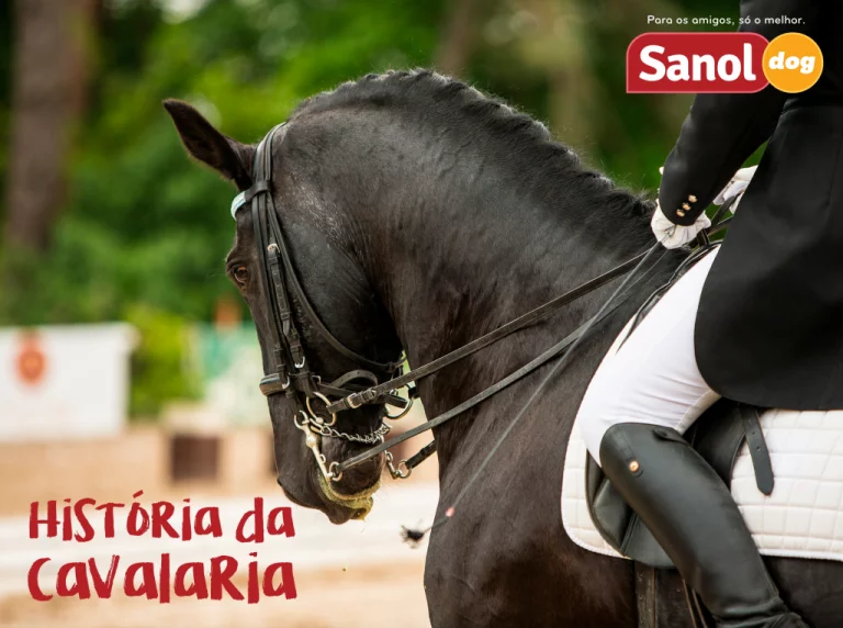 A história da cavalaria e sua importância para o nascimento da veterinária militar