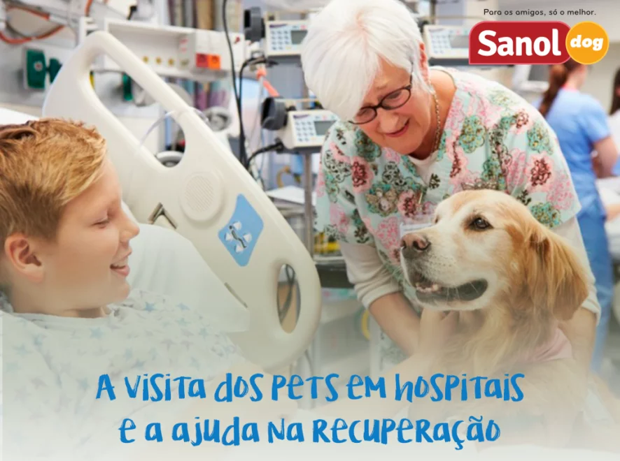 COMO A VISITA DOS PETS EM HOSPITAIS AJUDA NA RECUPERAÇÃO DE SEUS TUTORES
