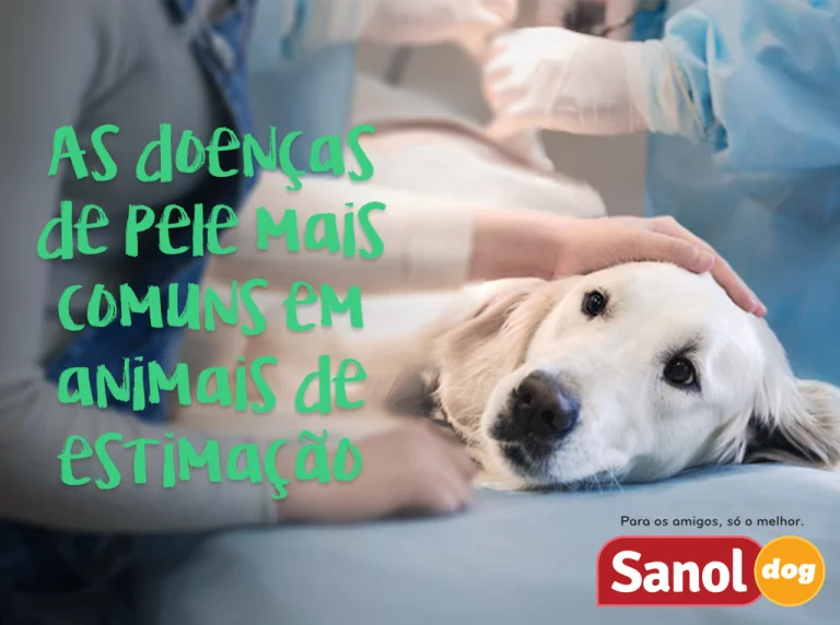 Doenças de pele mais comuns em animais de estimação