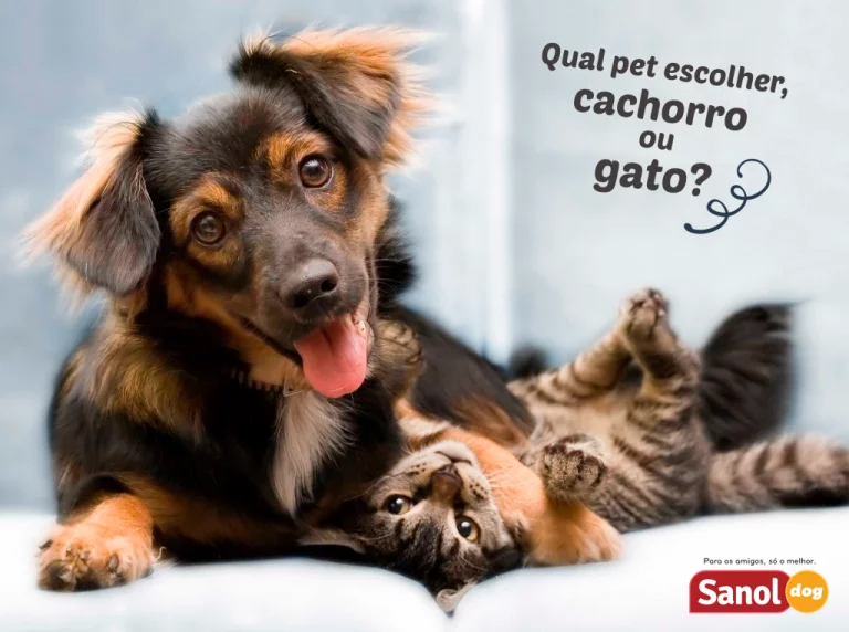 Qual pet escolher, cachorro ou gato?