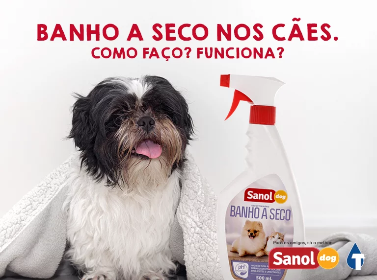 Como dar banho a seco em cachorro? Será que funciona?