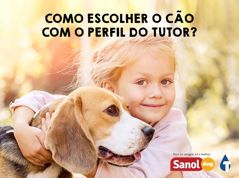 Como escolher o cão com o perfil do tutor