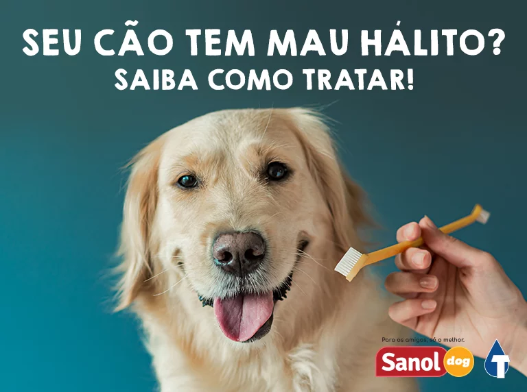 Como livrar o seu cão do mau hálito