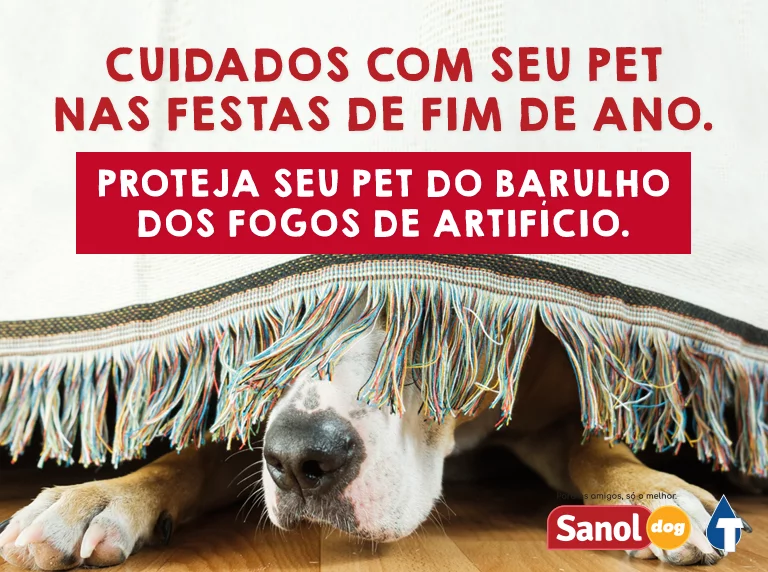 Cuidados com seu pet nas festas de final de ano