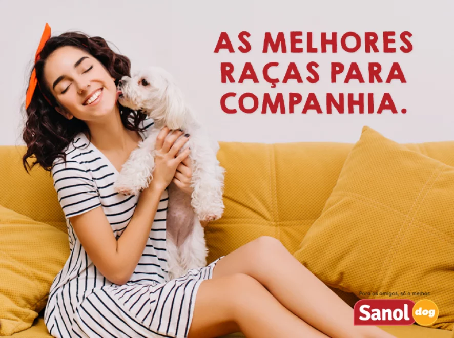 Melhores raças de cachorro para companhia