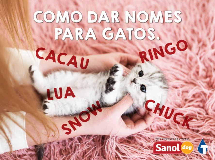 Nomes para gatos