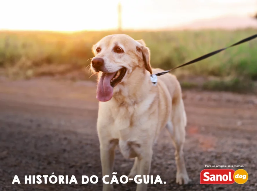 História do Cão-Guia