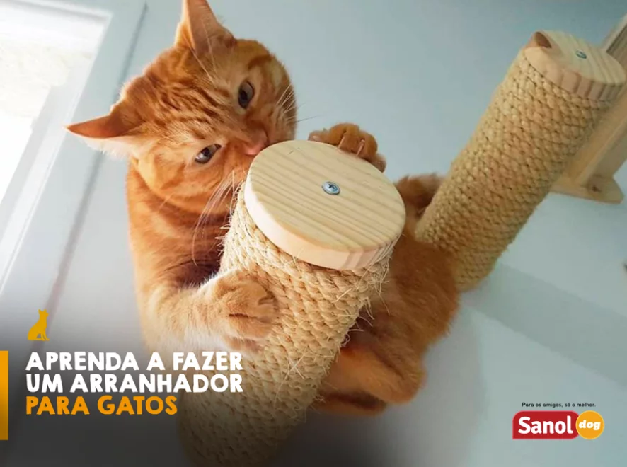 Faça você mesmo: Arranhador para Gato