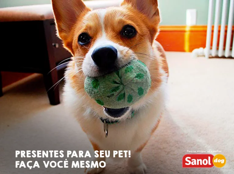 Faça você mesmo o presente para seu pet