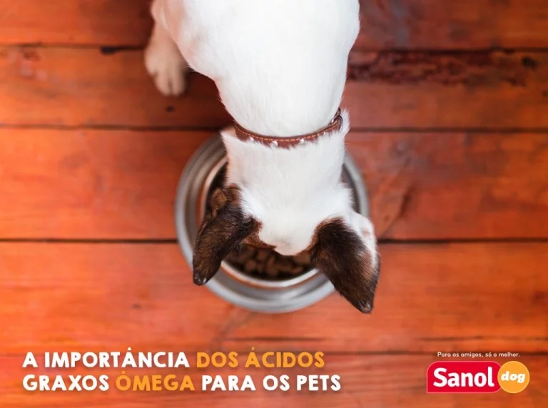 A IMPORTÂNCIA DOS ÁCIDOS GRAXOS ÔMEGA PARA OS PETS