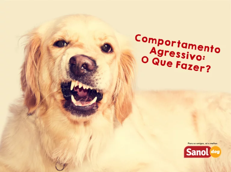 Comportamento Agressivo – O que fazer?