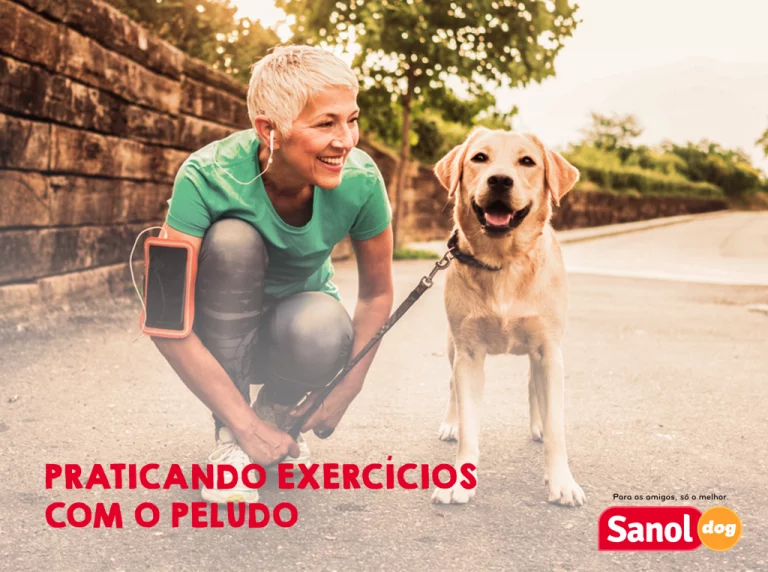 Tenha o hábito de fazer exercícios na companhia do seu cão