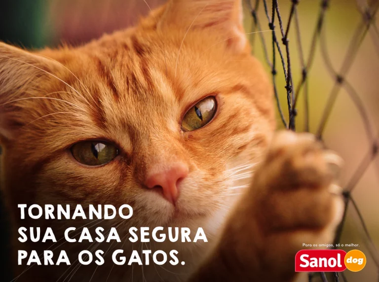 Tornando sua casa segura para gatos