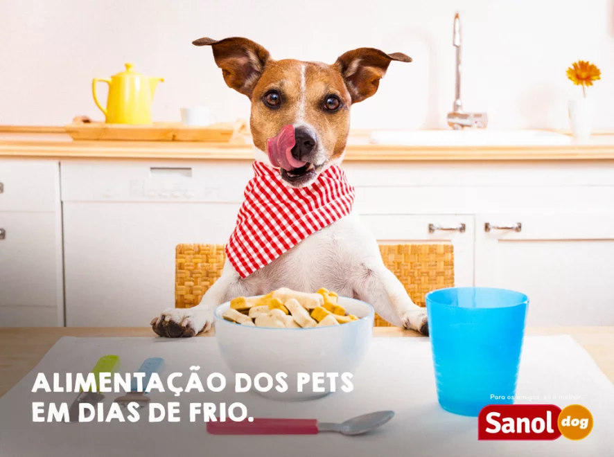 ALIMENTAÇÃO DO PET EM DIAS DE FRIO