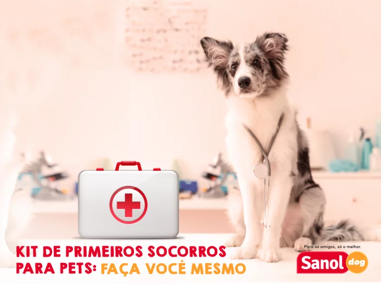 Kit de primeiros socorros para pets: faça você mesmo