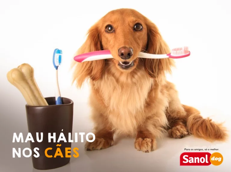 Mau hálito nos cães