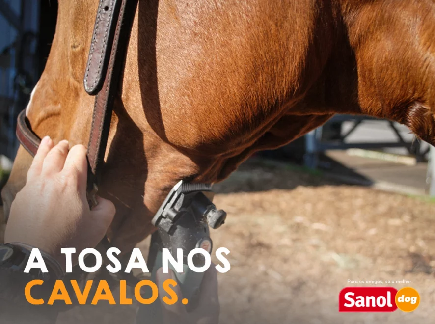 A TOSA NOS CAVALOS