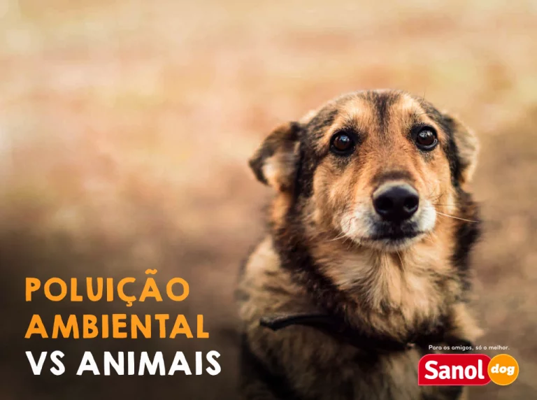 POLUIÇÃO AMBIENTAL X ANIMAIS