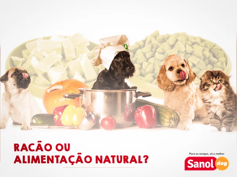 Ração ou alimentação natural: o que é melhor?