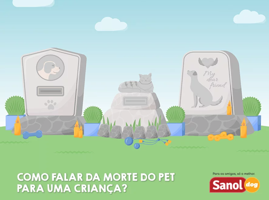 Saiba como falar sobre a morte de um pet para uma criança